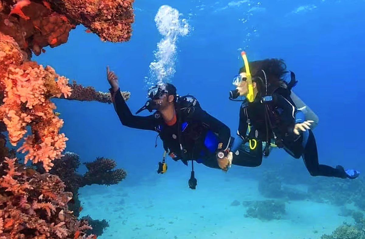 Plongée sous-marine à Maurice