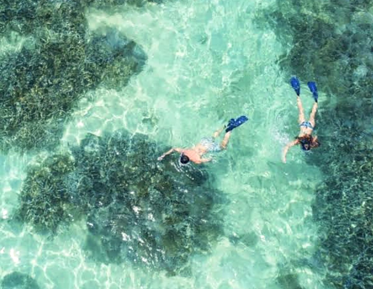 Snorkeling à Pereybère